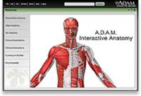 互動式解剖教學軟體 A.D.A.M. Interactive Anatomy
