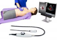 HeartWorks TTE/TEE Simulator 胸前/經食道 心臟超音波模擬器