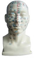 针灸头模 