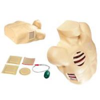 胸腔引流模拟器 