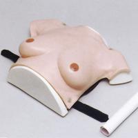 乳房触诊模型