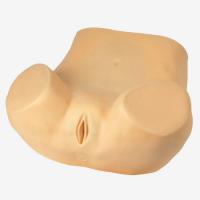 基础妇科触诊模型