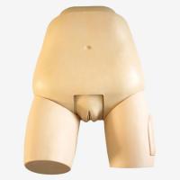 子宫底触诊模拟器 