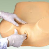 高阶妇科检查模拟器