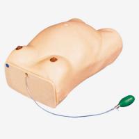 产科触诊模拟器 