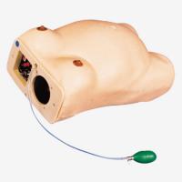 产科触诊及胎心音模拟器