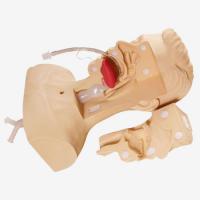 抽痰训练模拟器